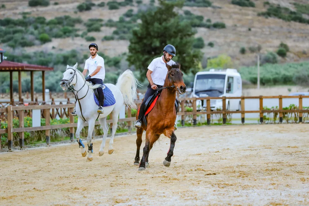 ALİAĞA