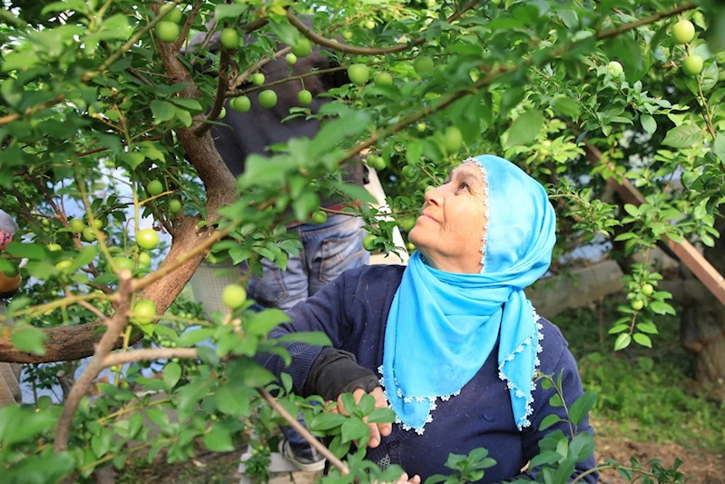 Aile ve Sosyal Hizmetler Bakanımız Göktaş: “Kadın girişimciler ihtiyaç duydukları bilgi ve desteklere web sitemiz üzerinden ulaşıyor”